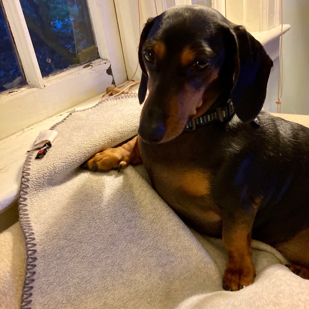 Meet your Posher, Amy